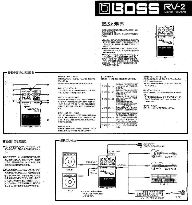 Mode d'emploi ROLAND RV-2