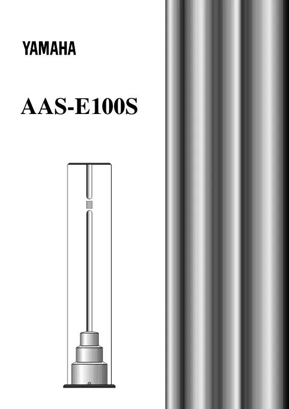 Mode d'emploi YAMAHA AAS-E100S