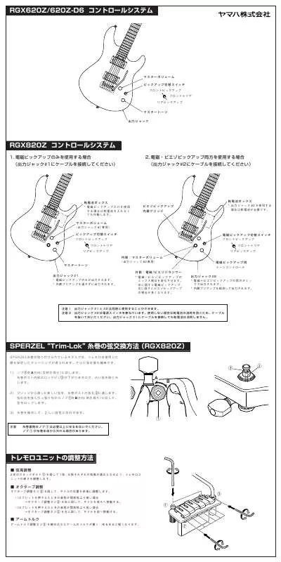 Mode d'emploi YAMAHA RGX620Z