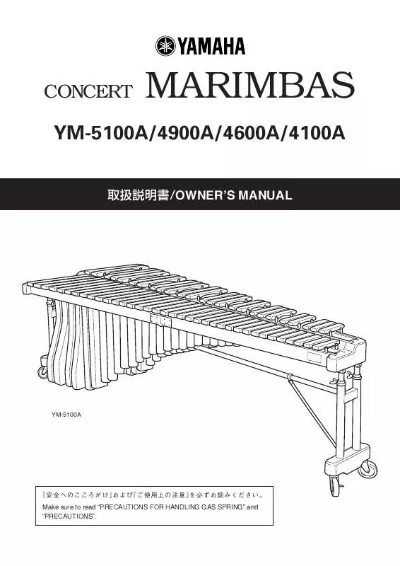 Mode d'emploi YAMAHA YM-4100A