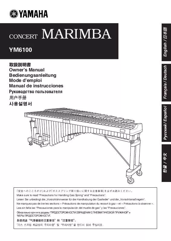 Mode d'emploi YAMAHA YM-6100